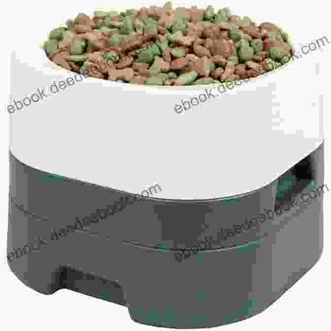 A Bowl Of Dog Food The Complete Dog Book: 20th Edition