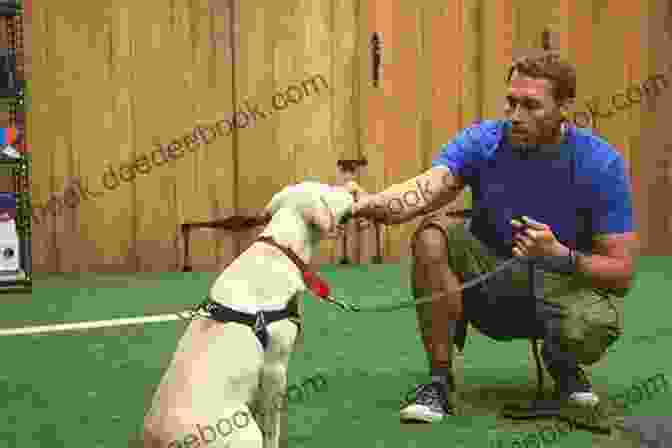 A Dog Trainer Working With A Dog Dog Smart: Evidence Based Training With The Science Dog