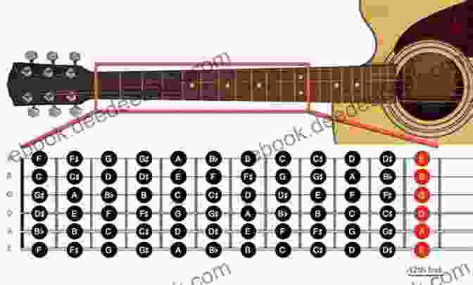 A Fretboard Roadmap Is A Visual Representation Of The Fretboard That Can Help You Learn The Notes And Chords You Need To Know. Fretboard Roadmaps Bass: The Essential Patterns That All The Pros Know And Use (Fretboard Roadmaps)