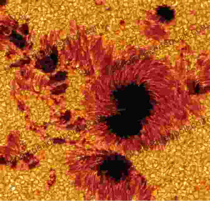 A Group Of Sunspots On The Sun's Surface. The Sun: Its Spots And Flares Astronomy For Beginners Children S Astronomy