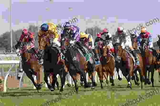 A Photograph Of A Group Of Thoroughbred Horses Racing At A Montana Racetrack Montana Horse Racing: A History (Sports)