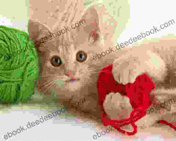 A Playful And Adorable Woolbuddies Kitten Woolbuddies: 20 Irresistibly Simple Needle Felting Projects