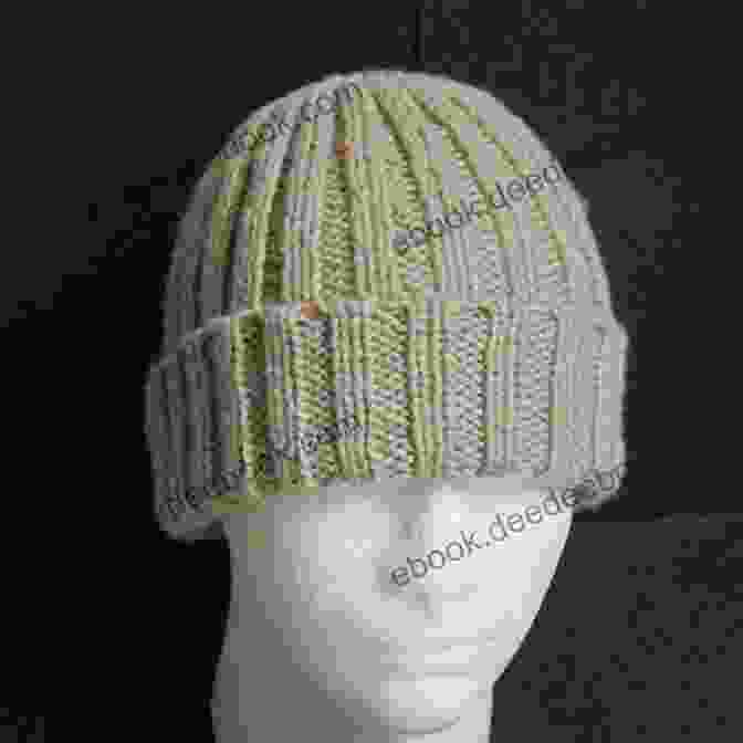 A Stylish And Warm Beanie Hat Knitted In A Simple Rib Stitch Pattern Knit It : Learn The Basics And Knit 22 Beautiful Projects