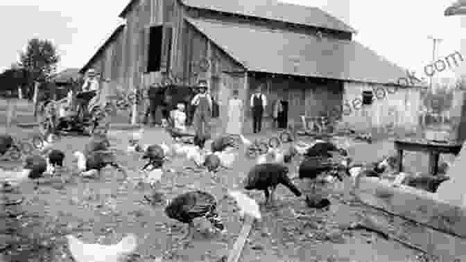 A Vintage Photograph Of A Farm In Munster, Indiana In The 1930s. Munster Indiana (Images Of America)