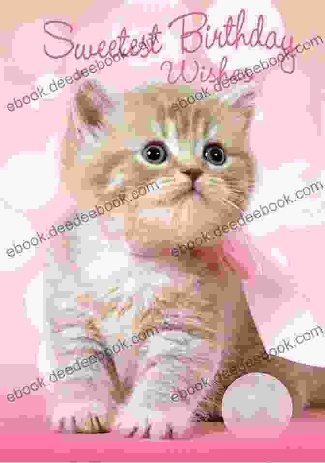 A Young Happy Birthday As A Kitten Happy Birthday The Cat: True Meow Stories By Birthday