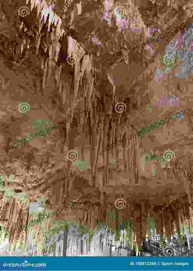 An Awe Inspiring Network Of Caverns Adorned With Sparkling Crystals The Chronicles Of Vista: Part I