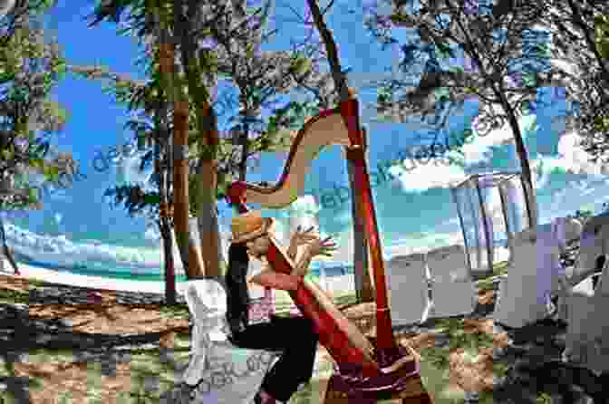 Folk Harp Playing Hawaiian Sunset Hawaiian Music For Folk Harp: With Lyrics And Chords For Guitar And Ukulele