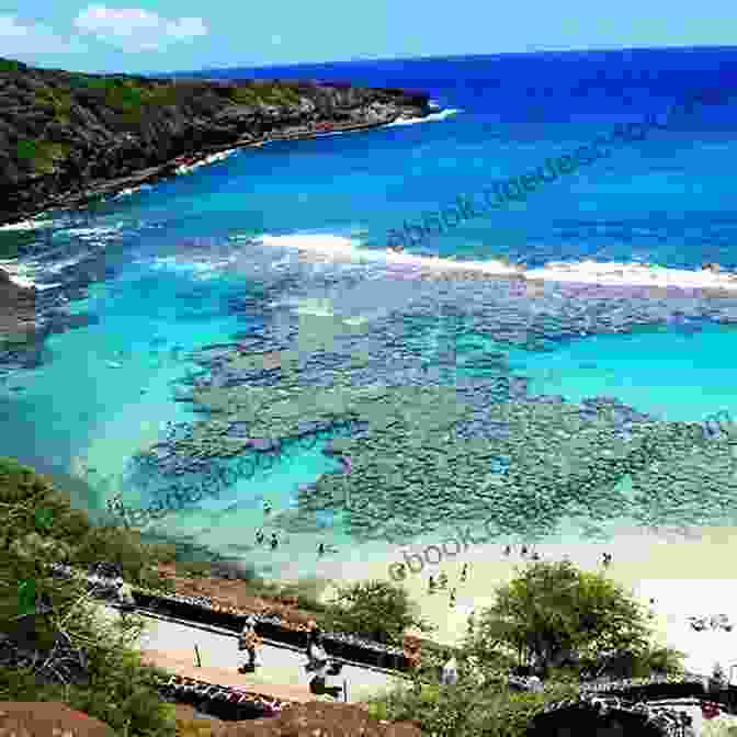 Hanauma Bay Nature Preserve, Oahu Amazing Hawaii Tour Guide: Top 100 Hawaii Tour Sites Tips