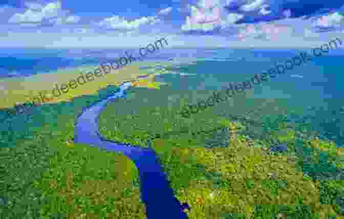 Jet And Axel Crossing A River In The Amazon Rainforest Jet And Axel Into The Jungle