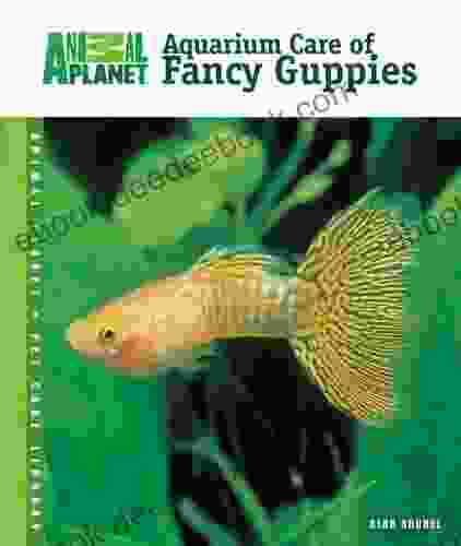 Aquarium Care Of Fancy Guppies (Animal Planet Pet Care Library)