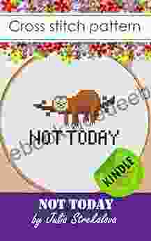 Cross stitch patterns for beginners funny sign Not today sloth lasy Hand embroidery design for adults