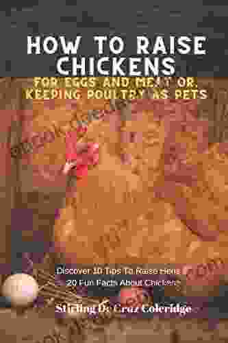 How To Raise Backyard Chickens For Eggs And Meat Or Keeping Poultry As Pets: Discover 10 Quick Tips On Raising Hens And 20 Fun Facts About Chickens (Raising Chickens 2)