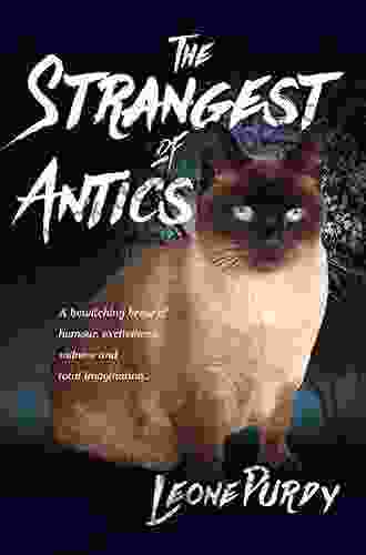 The Strangest of Antics: A Bewitching Brew of Humour Excitement Sadness and Total Imagination