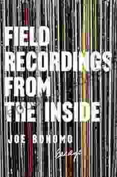 Field Recordings From The Inside: Essays