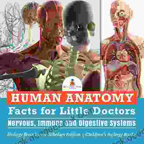 Human Anatomy Facts for Little Doctors : Nervous Immune and Digestive Systems Biology Junior Scholars Edition Children s Biology