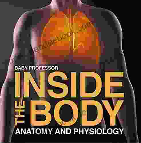 Inside The Body Anatomy And Physiology