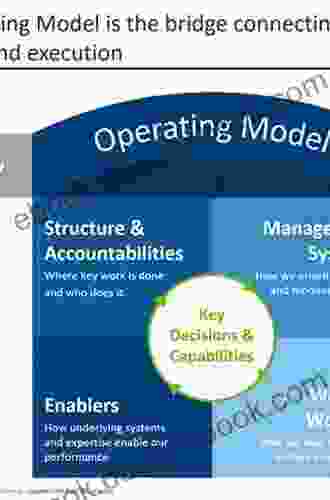 Theoretical Foundations of Homeland Security: Strategies Operations and Structures