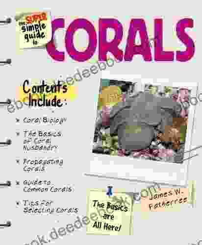 Super Simple Guide Corals (Super Simple Guide To )