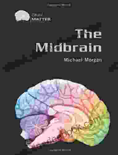 The Midbrain (Gray Matter) Michael Morgan