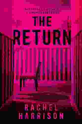 The Return Rachel Harrison