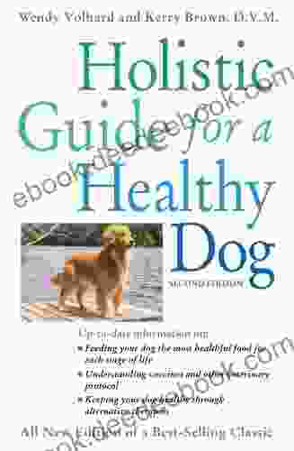 Holistic Guide For A Healthy Dog