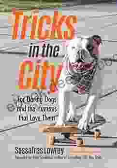 Tricks In The City: For Daring Dogs And The Humans That Love Them (Trick Dog Training Exercise Your Dog)