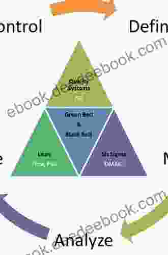 Sustainability: Utilizing Lean Six Sigma Techniques (Systems Innovation Series)